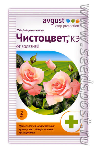 чистоцвет