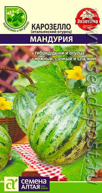 Огурдыня Карозелло Мандурия