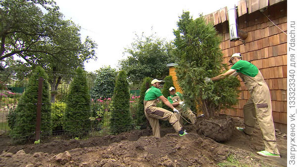 фото из инета