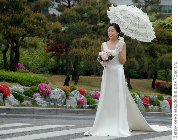 Невеста и азалии