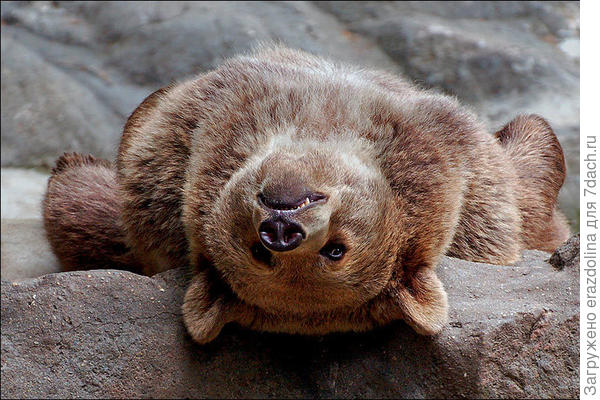 Игра "наоборот"