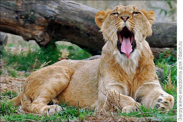 Что-то спать хочется