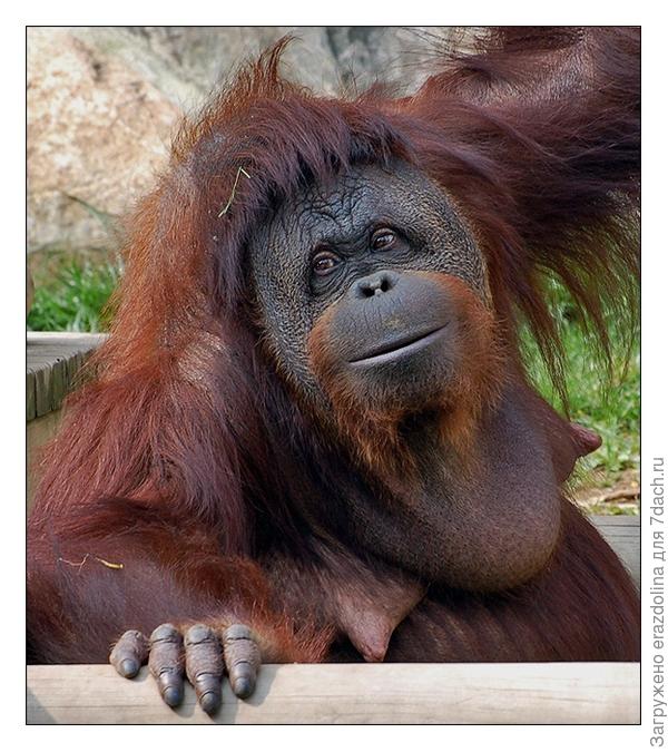 Я все еще хороша