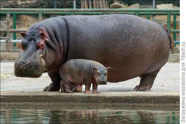 С мамой не страшно