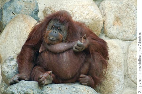 Сколько же мне лет?