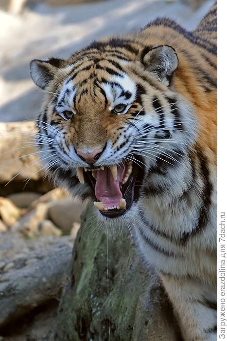 Это кто так решил?