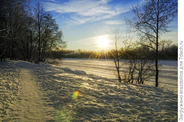 Солнечный вечер в пойме Москвы-реки