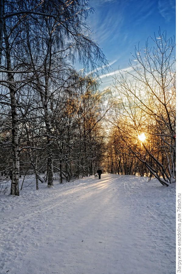 Солнечный вечер в пойме Москвы-реки