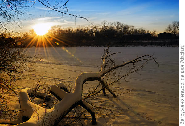 Солнечный вечер в пойме Москвы-реки