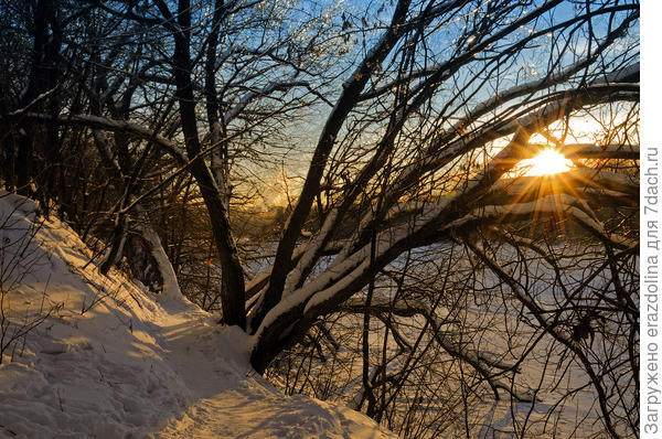Солнечный вечер в пойме Москвы-реки