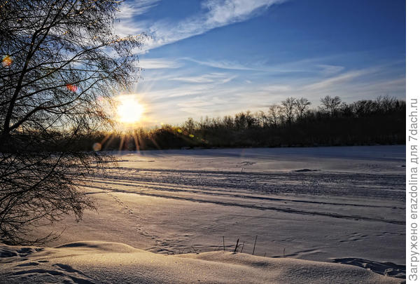 Солнечный вечер в пойме Москвы-реки