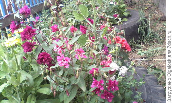 подскажите название