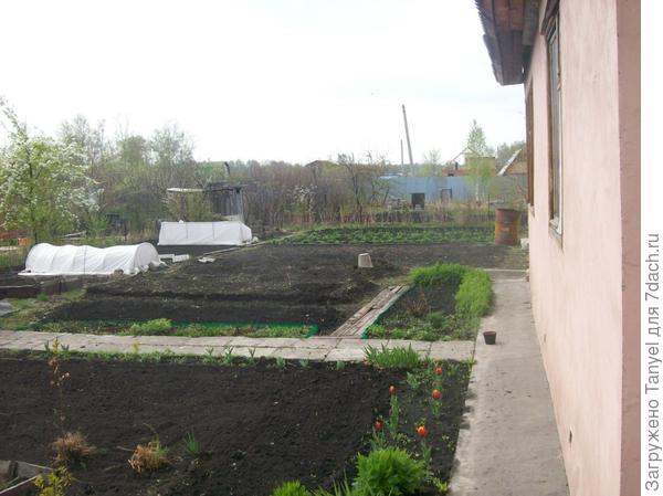 Первые посадки. 2012.