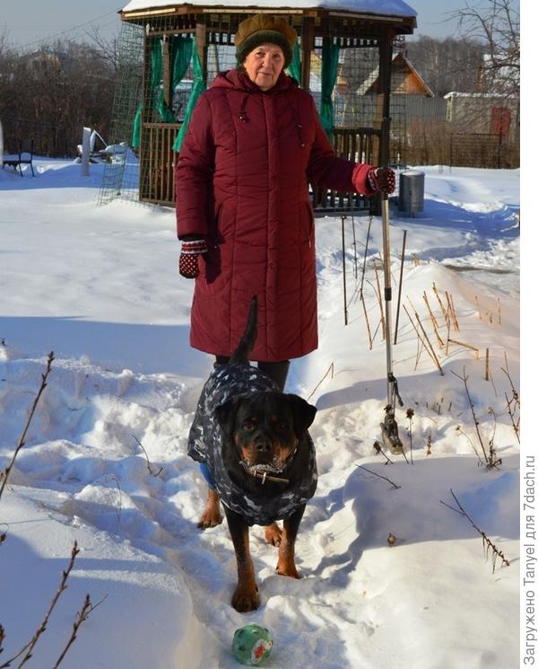 Зимой в саду тоже полно работы. Мои помощницы.
