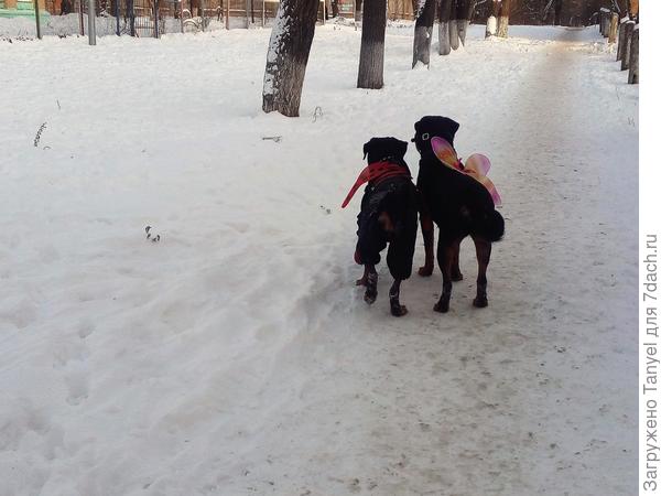 Кайла и Ора