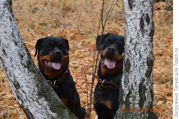 Кайла и Ора.