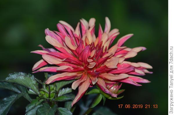 Обратите внимание на дату на фото