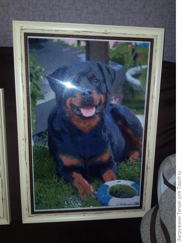 Эта висит дома