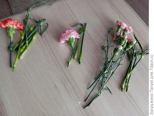 Не все гвоздички были свежими, это тоже повод для эксперимента)))