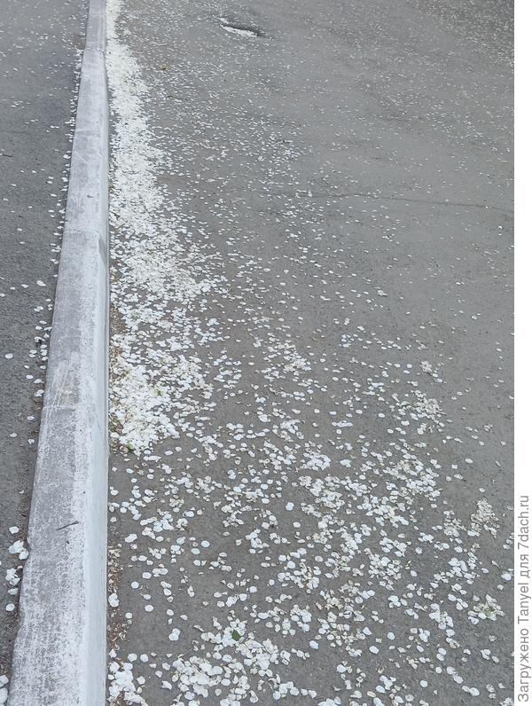 У нас снова сугробы)))