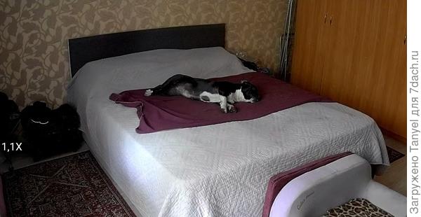 А это - догадайтесь)))