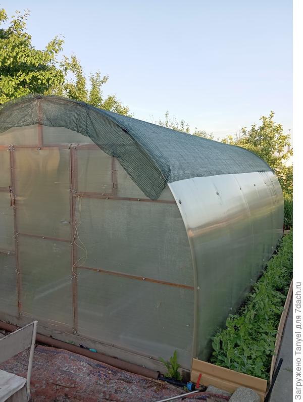 Большая теплица