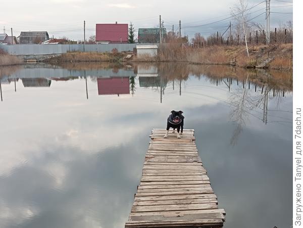 А тут - рыбаки)))