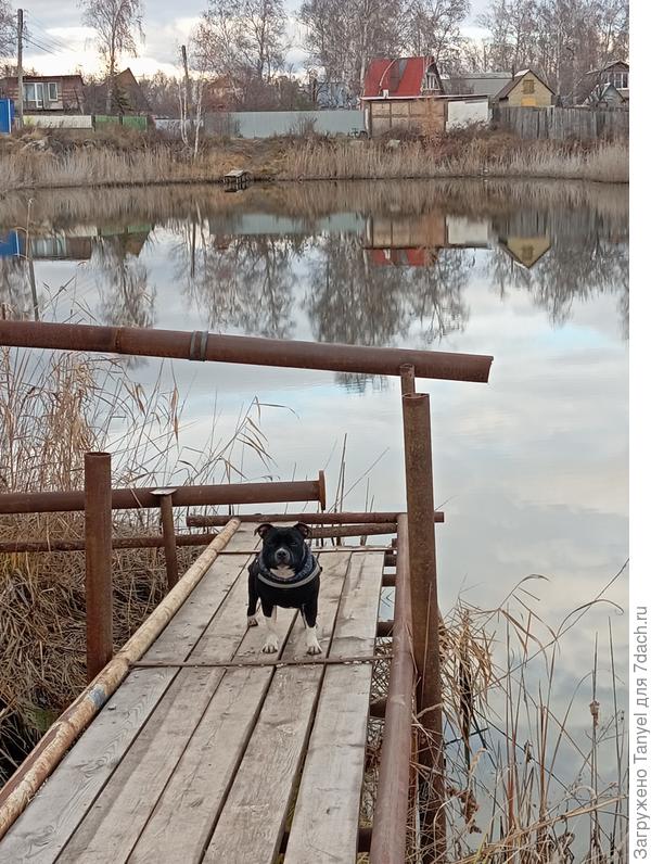 Здесь у нашего СНТ обычно насос, но сейчас все убрано на зиму.