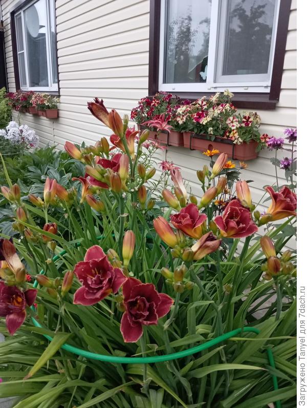 На заднем плане