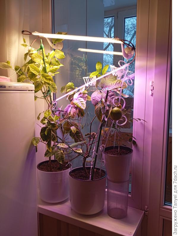 Окно теневое, поэтому подсветка будет с 6-00 до 22-00