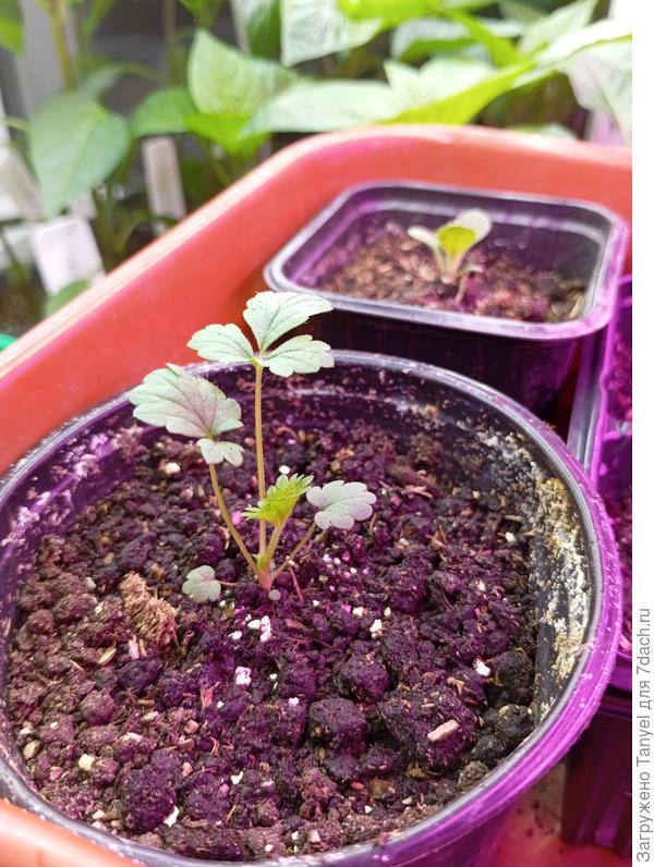 13.03.2026 года, раннее утро.