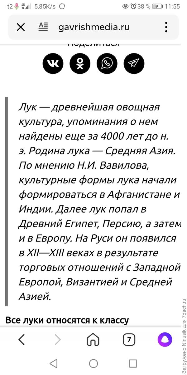 Родина лука