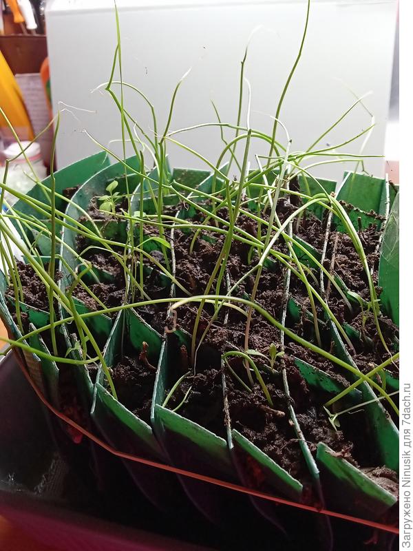 Банко. Ячея разборной формы 2см*2см.