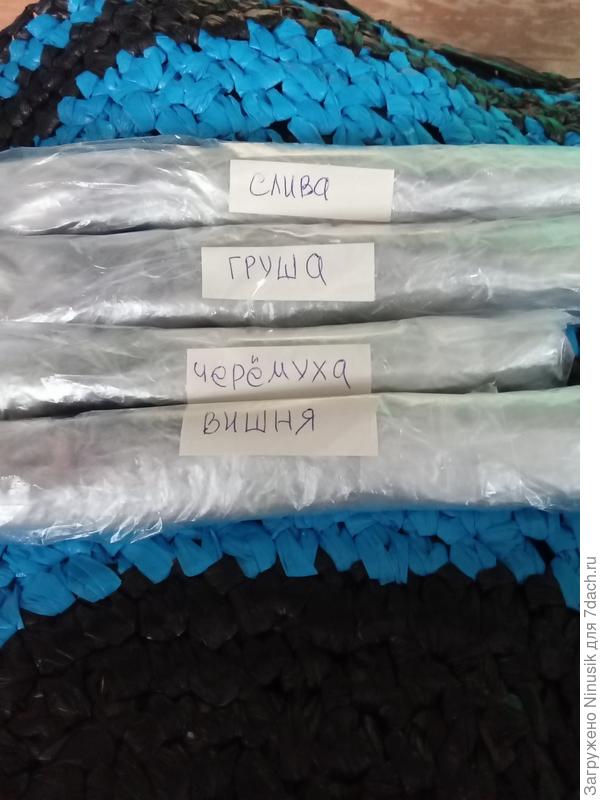 Мои череночки