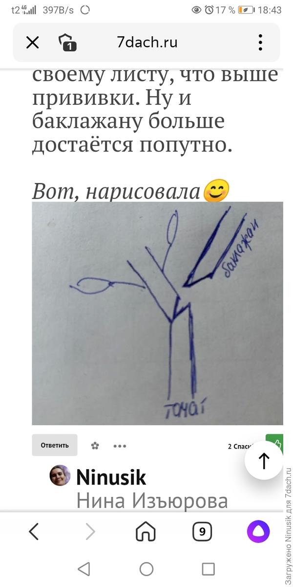 Прививка в боковой разрез.