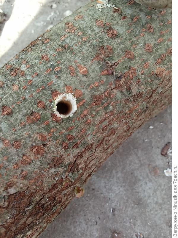 Отверстие 8 мм. Глубина 4 см и больше.