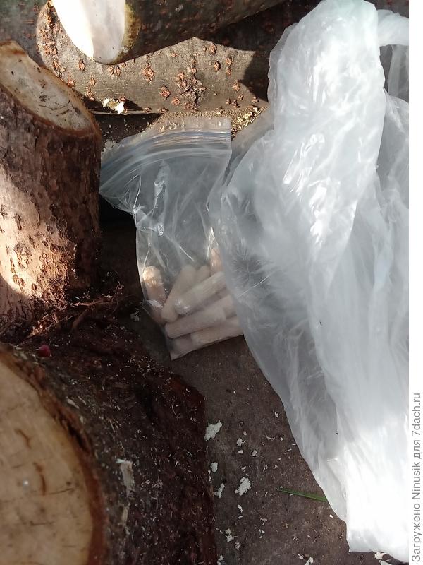 Пакет для стерильности.