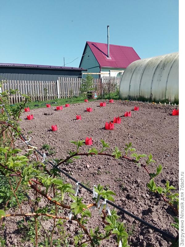 Направление север - юг.