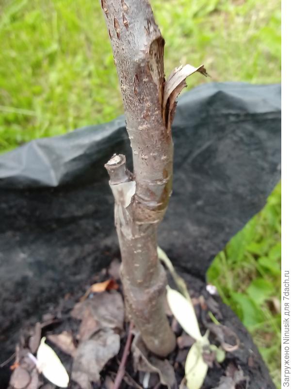 Интересно, зачем это было так сделано?