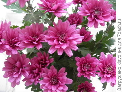 Поздравляю!