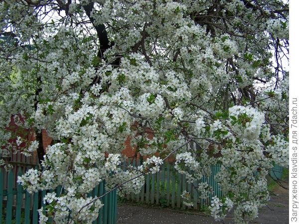 Напротив дома