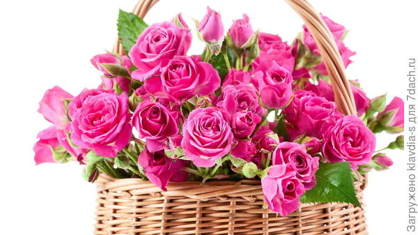 ПОЗДРАВЛЯЮ!