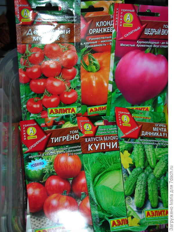 тттттттт