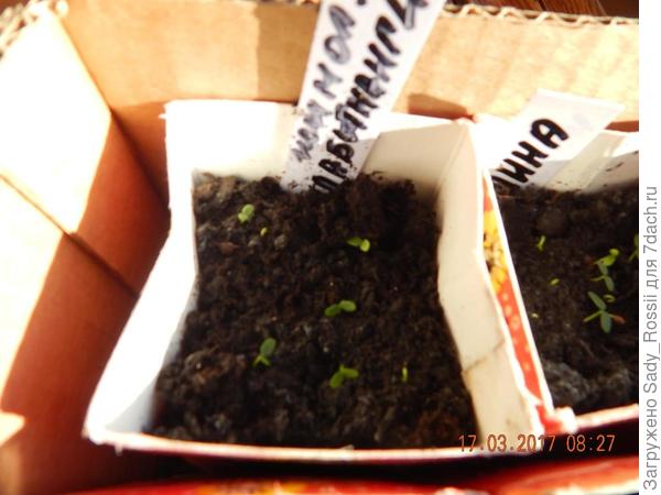 посадка 22 февраля