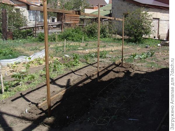 Грядка под томаты