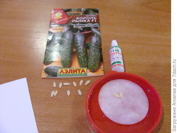 Замачивание