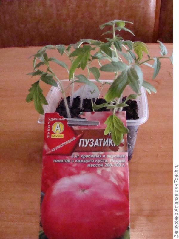 всхожесть 70%