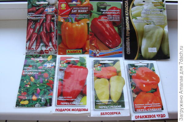 Семена перца, купленные для посадки