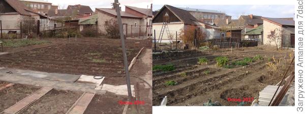 Мои грядки, изменений мало, но вдали веднеются