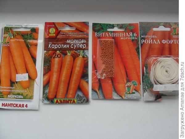 Сорта морковки